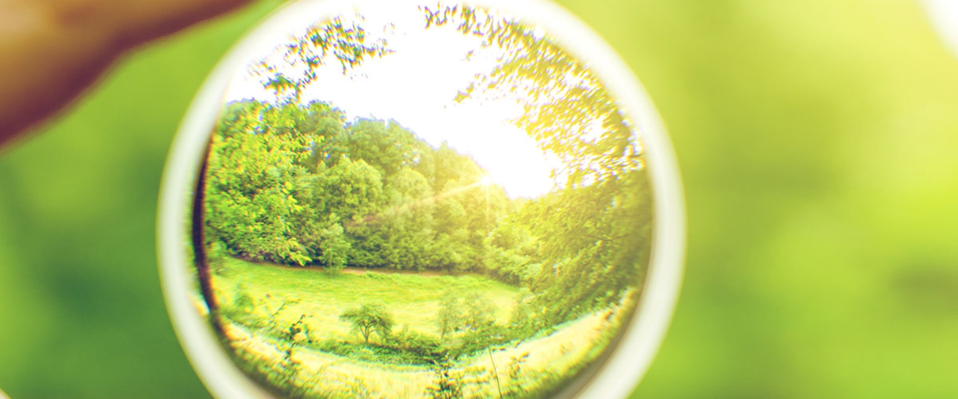 Can an Optometrist Help with Vision Rehabilitation?
