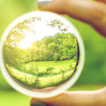 Can an Optometrist Help with Vision Rehabilitation?