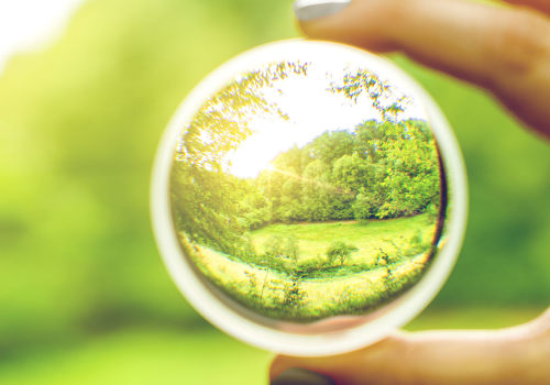 Can an Optometrist Help with Vision Rehabilitation?